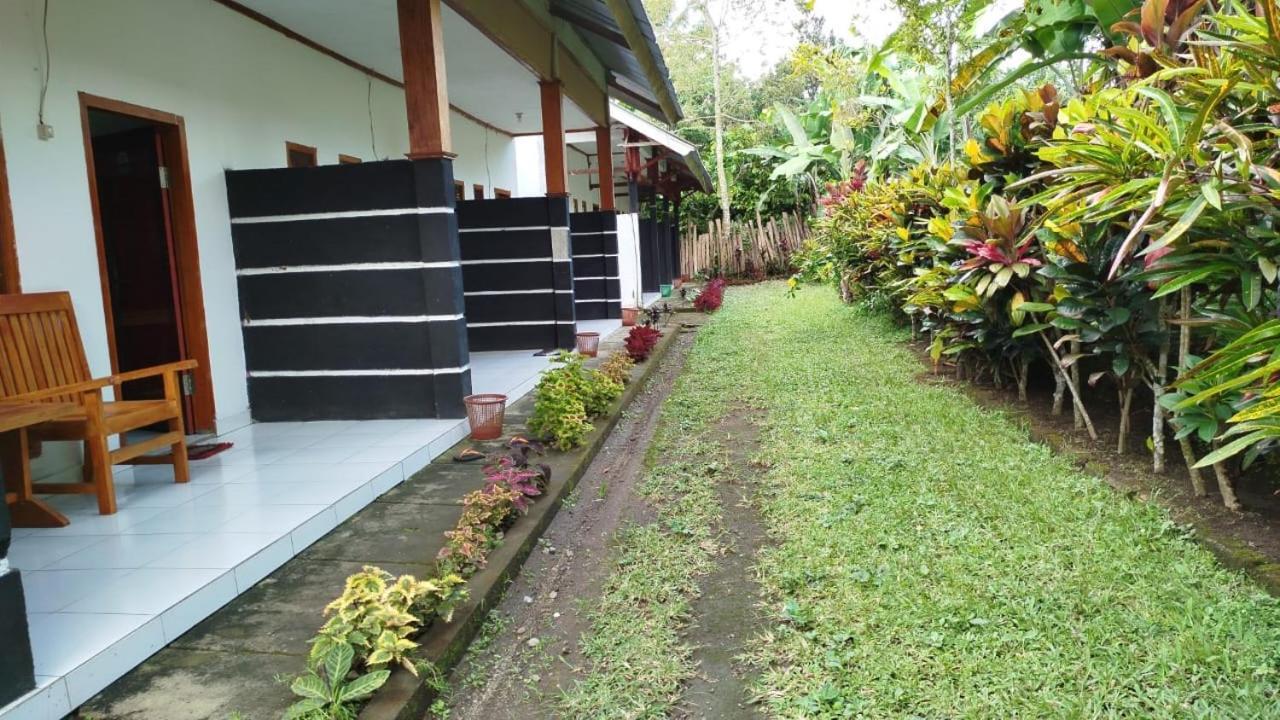 Tatasya Homestay Senaru Εξωτερικό φωτογραφία